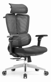Fotel biurowy ergonomiczny obrotowy ERGONOBLE 3058 Czarny