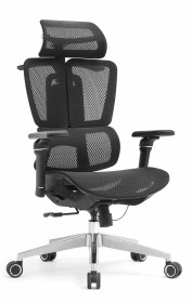 Fotel biurowy ergonomiczny obrotowy ERGONOBLE 3058 PRO Czarny