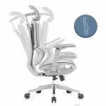 Fotel-biurowy-ERGONOBLE-3058-Szary-Pro-Siatka-Mesh-14.jpg